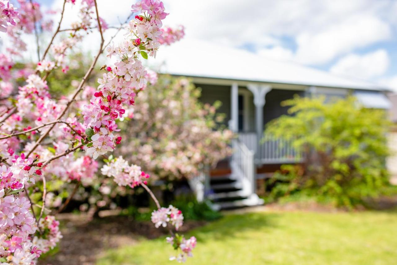Apple Blossom Cottages Станторп Екстер'єр фото