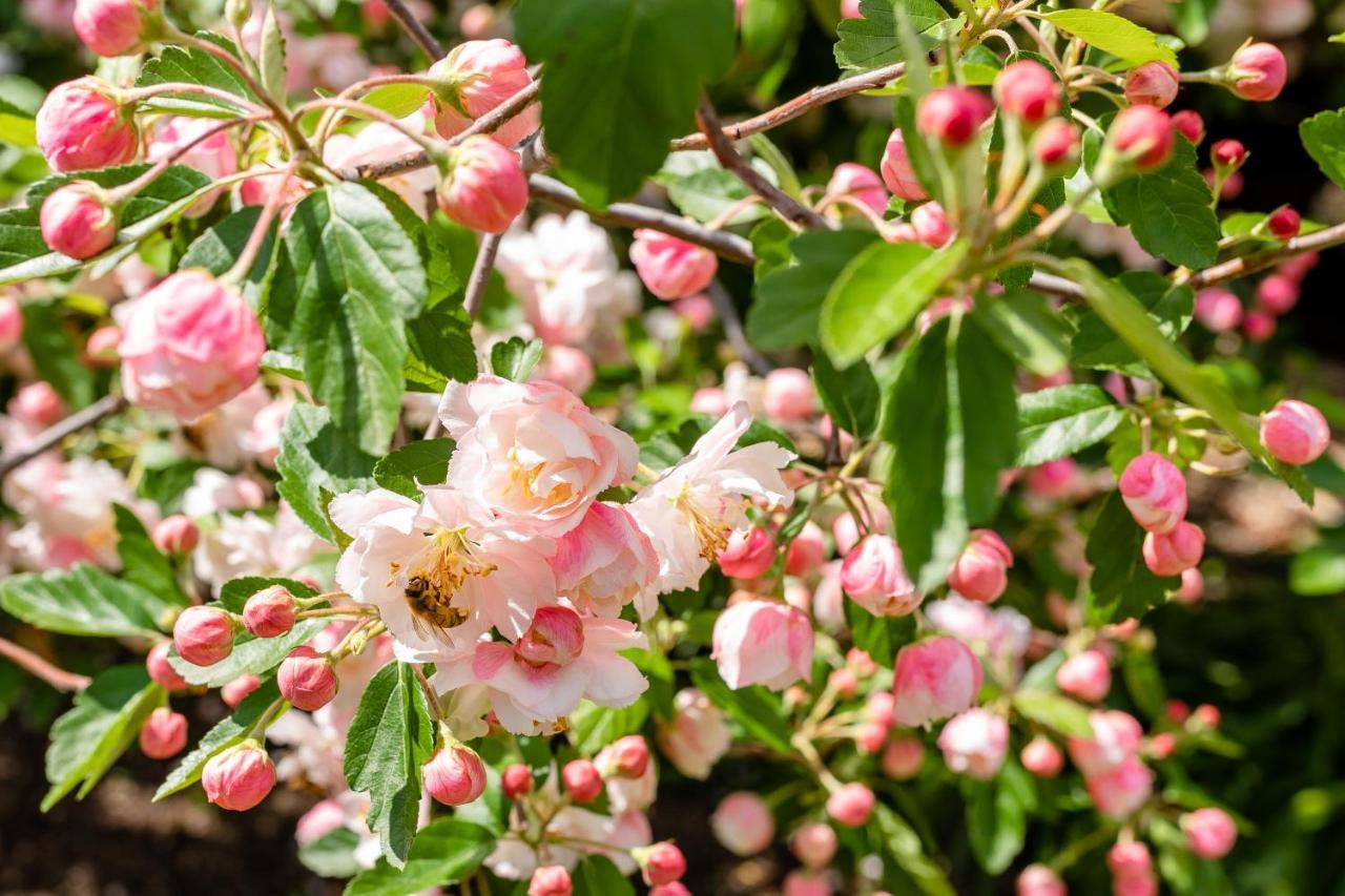 Apple Blossom Cottages Станторп Екстер'єр фото