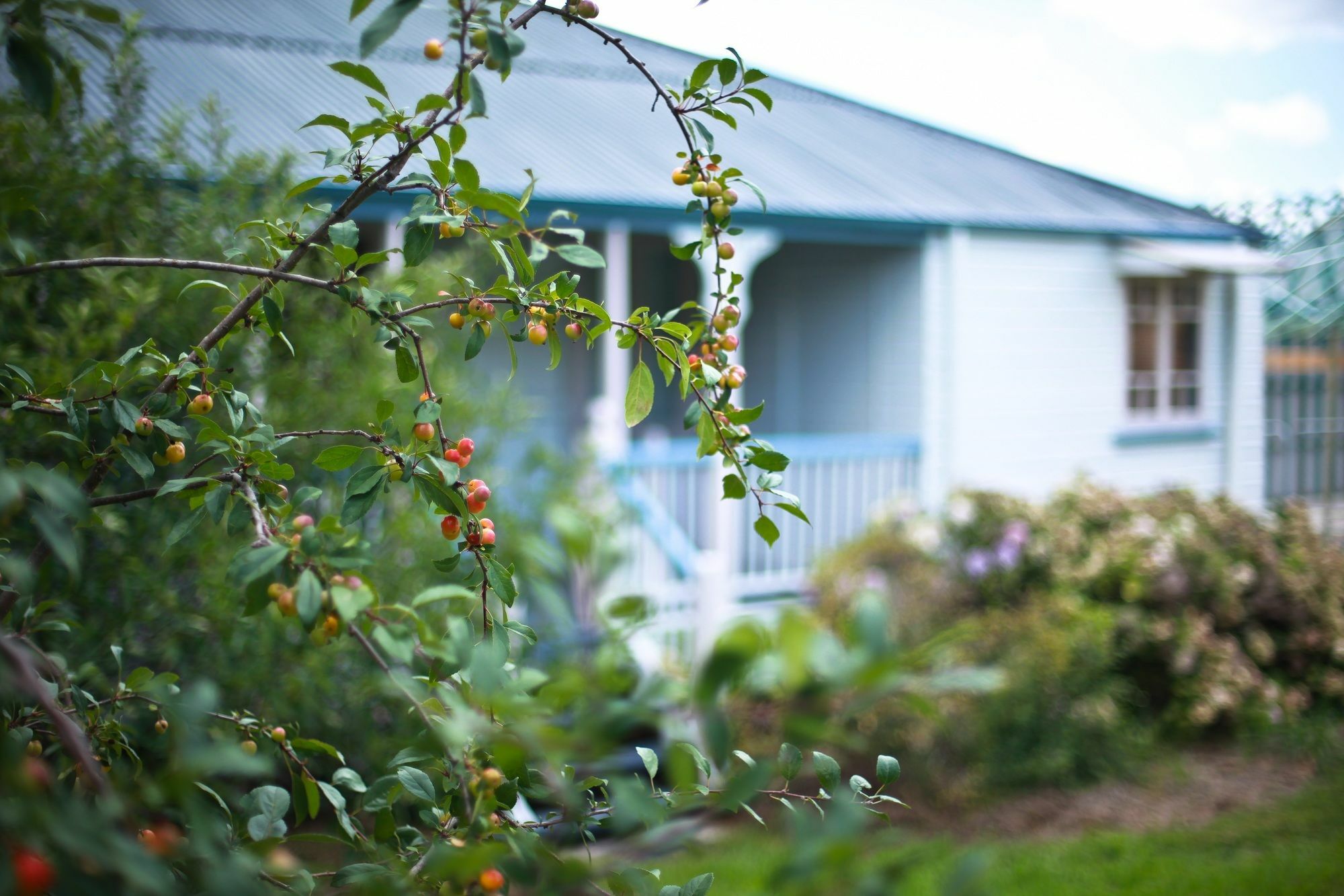 Apple Blossom Cottages Станторп Екстер'єр фото